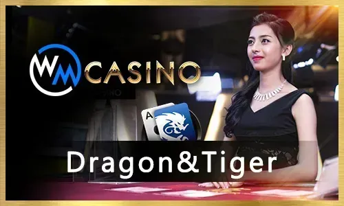 TG777 Casino Sports Betting